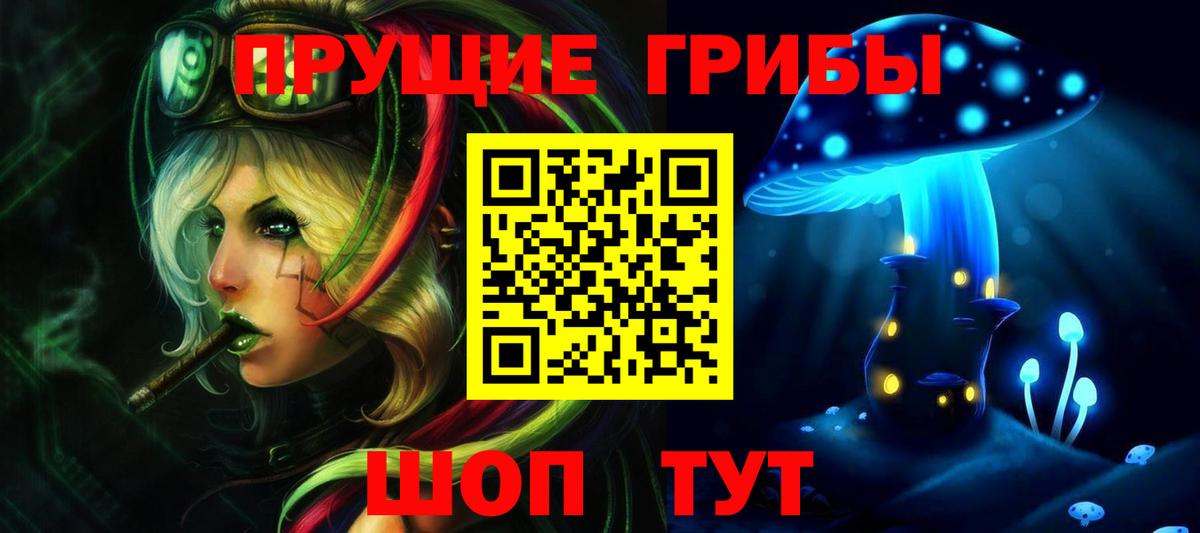 Галлюциногенные грибы Magic Shrooms  Вход с VPN  Алапаевск  Галлюциногенные грибы Psilocybine cubensis 